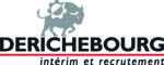 Derichebourg Interim