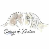 ELEVAGE DE KHEILAN