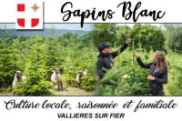 Sapins BLANC